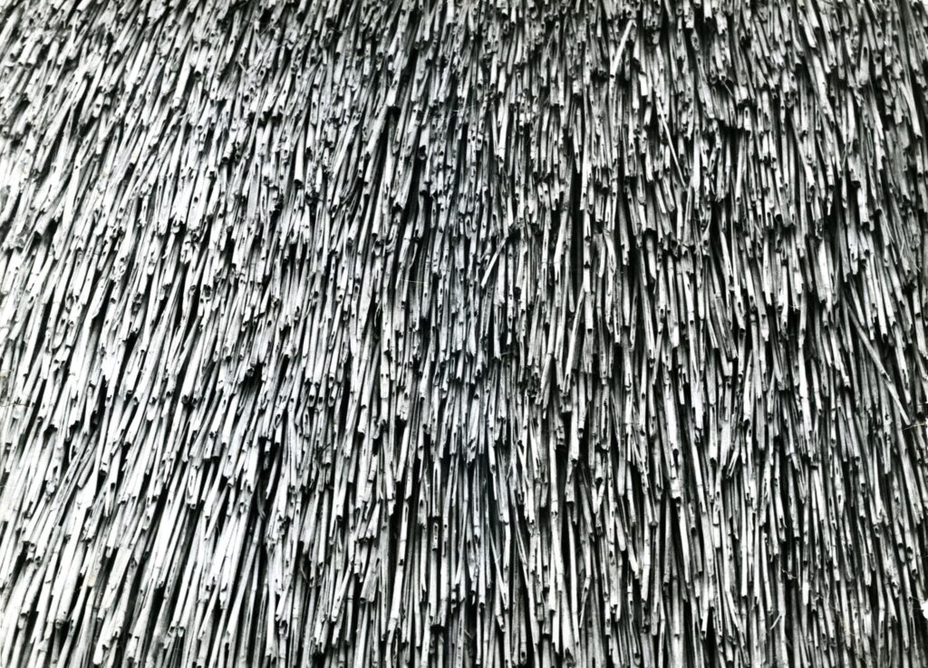 Urszula Galziński - Art Designer